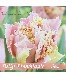 �ڵ庬��Ȭ�ź餭���塼��åס��إԥ󥯥ޥ��å���