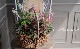 tef*tef*�󤻿��� 2017 * no.30 *���ԥ󥯤ΥХ����å�