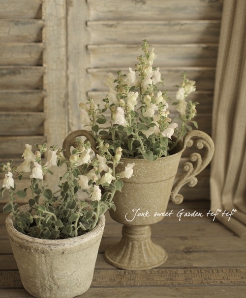 �����ɺ����󥮥祽�����إ����륰�쥤�١�