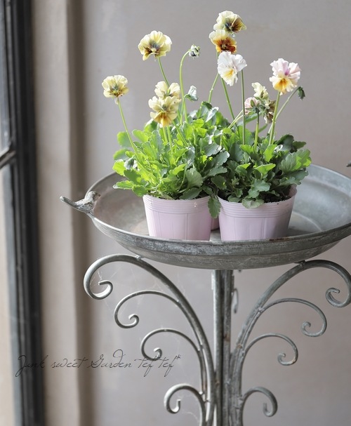 ����¼ζŵ������ӥ��顡�ط��Ԥ����꡼����