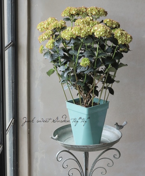 ���ջ��۲֡��֥�å���������� �إ饤�ȥޥ��ե����䡼��