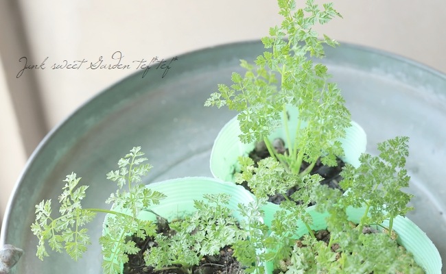 ڲڱ ϡ֡إ㡼ӥ
