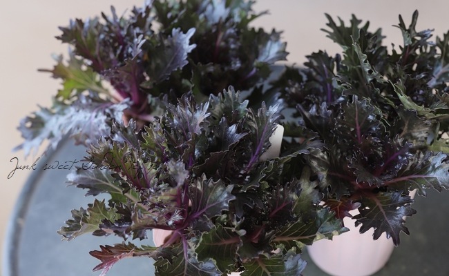 ���ղ�ð���ظ��ҥ֥�å������� No.B