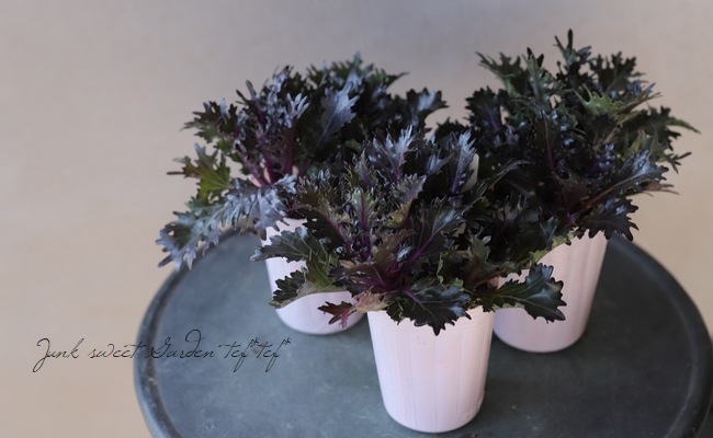 ���ղ�ð���ظ��ҥ֥�å������� No.B