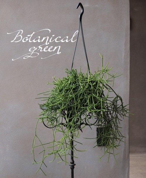 �ڴ��տ�ʪ�ۡ���ץ��ꥹ���������ܥƥ�