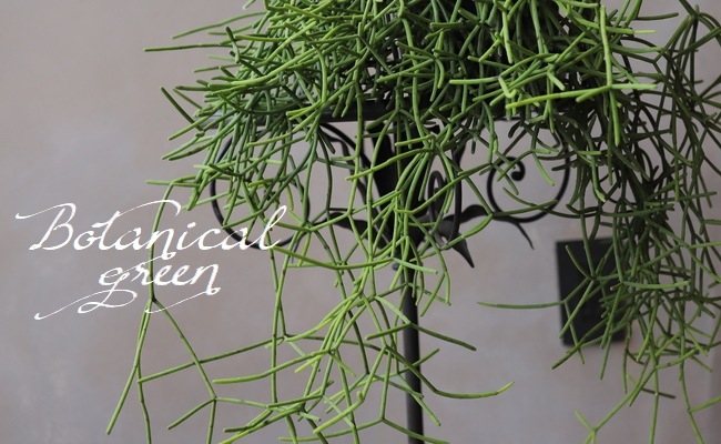 �ڴ��տ�ʪ�ۡ���ץ��ꥹ���������ܥƥ�