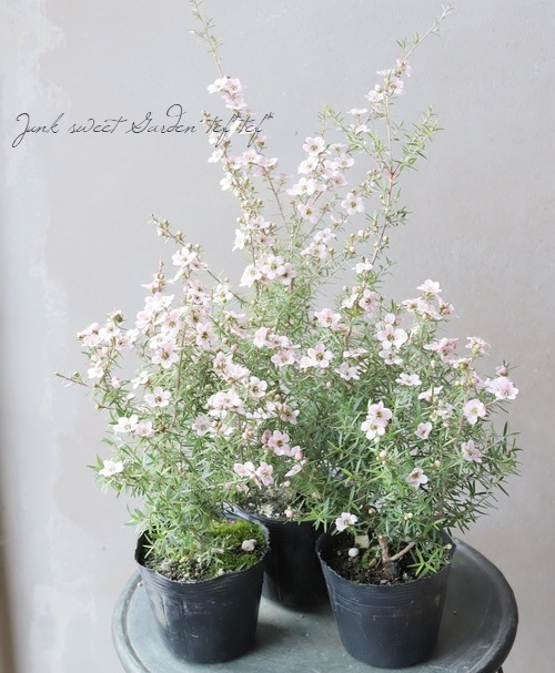 �����˶������в��ڡ������奦�Х����ؤ������