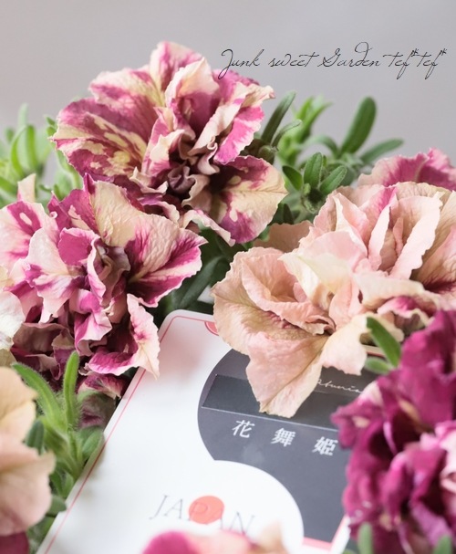 迷宮に咲く花 蒔菜 SP3枚 迷宮に咲く花 蒔菜 SP3枚 カードリスト