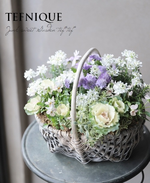 TEFNIQUE-�󤻿��� 2019 * no.101 *���������Τդ���Х����åȢ���