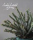 �桼�ե���ӥ����إ����륮�Ρ�����