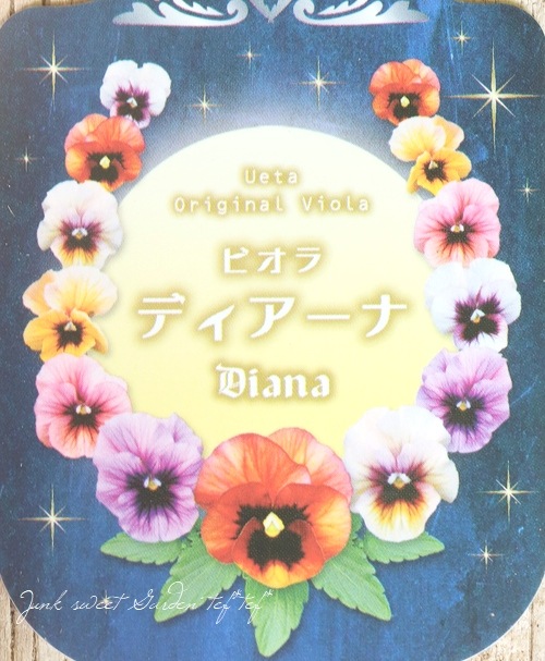 ����臘�������ꥸ�ʥ�ӥ��顡�إǥ������ʡ� 2022ǯ�ǿ��ʼ�