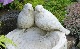 �ڻ��ߡ� �ѹ�SPARTA STATUES ��Birds on Log Feeder�� �����ǥ󥪡��ʥ���