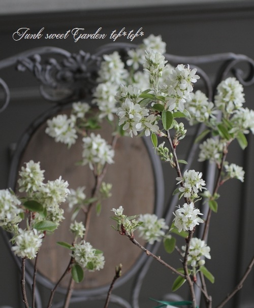 �ڲ̼��� �����Ǿ�����ѥ����ʼ���塼��٥꡼�إ꡼������ȡ� ��Ʊ���Բġ�