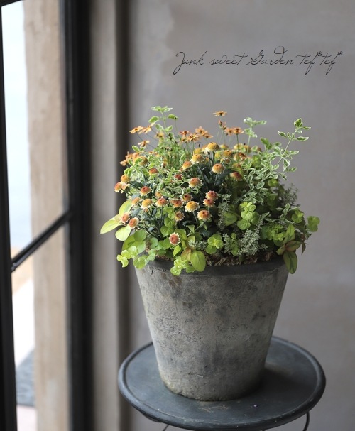 �ꥷ�ޥ��� �إ�å����١�