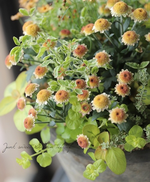 �ꥷ�ޥ��� �إ�å����١�