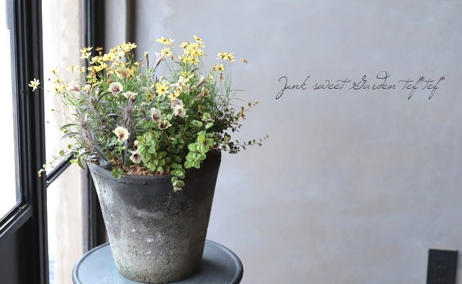 �ꥷ�ޥ��� �إ�å����١�