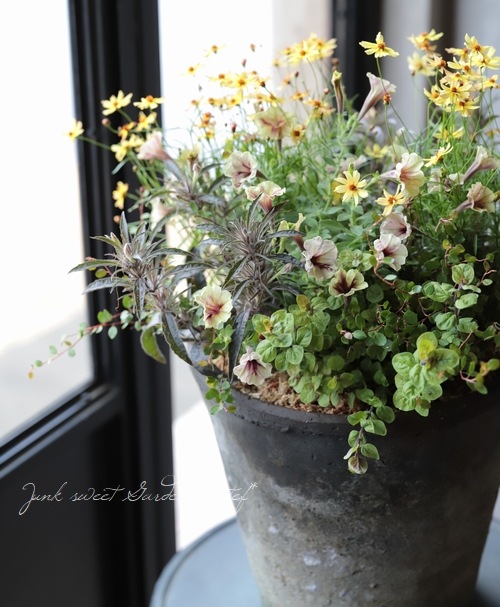 �ꥷ�ޥ��� �إ�å����١�