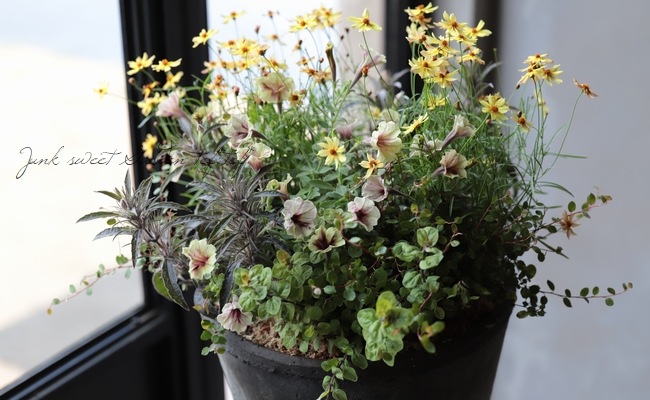 �ꥷ�ޥ��� �إ�å����١�