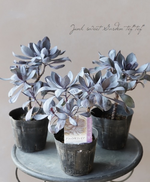 蒼*夢様 フラワーパニエ　ベースブラック×花ダークパープル　45cm 花パニエ ブラック5色セット