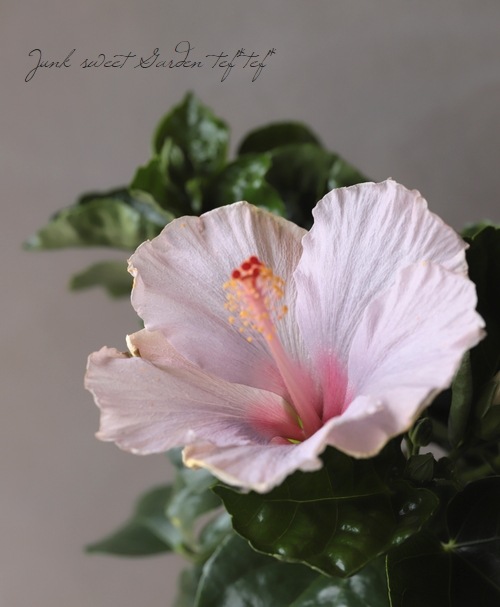 9_000000011688.jpg?1678209903