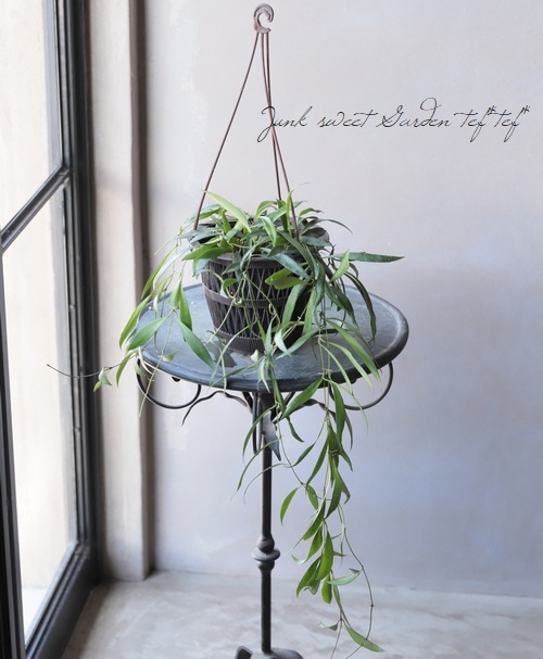 �ڴ��տ�ʪ�� �ۥ䡡�إ��ǥåƥ��� -Odetteae-�١��ڣ¡�