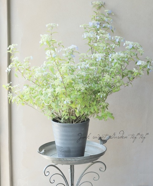 イケニエノヨル フェニックス メンズ スキー/スノーボード タートルネックウェア