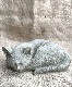 ڻߡ ѹSPARTA STATUES Curled Up Cat ǥ󥪡ʥ