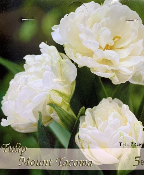 �ڵ庬�� Ȭ�ź餭���塼��åס��إޥ���ȥ����ޡ�