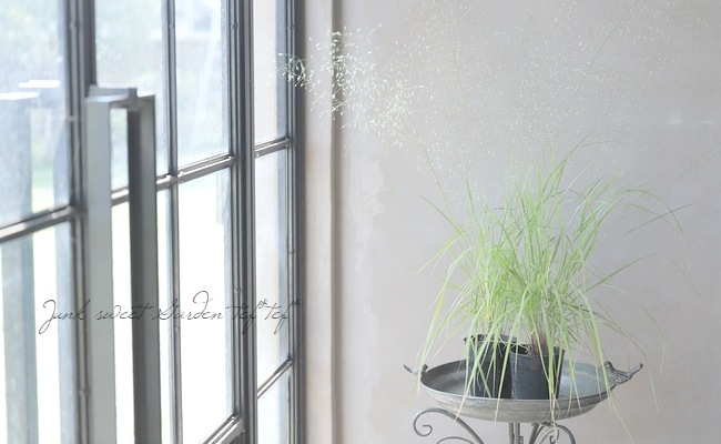 ڥ饹ʪۥ饰ƥإȥꥳǥ