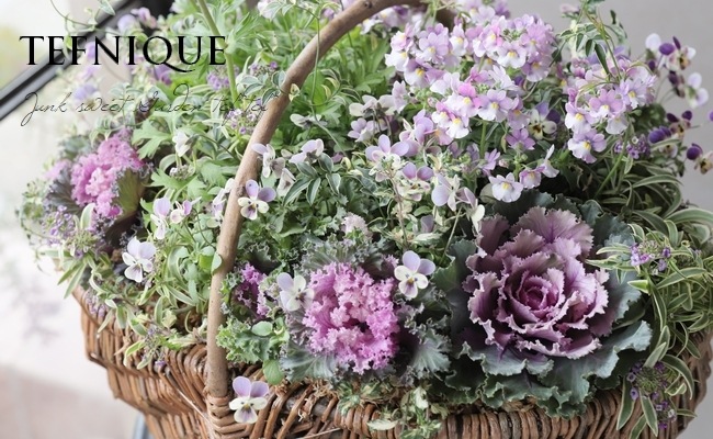 -TEFNIQUE-�󤻿��� 2019 * no.103 *������Ͳİ������᥸���ȤʥХ����åȢ���