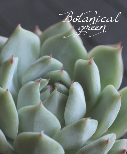 ��¿����ʪ�ۡ��إƥ��åԡ��١������٥ꥢ°��