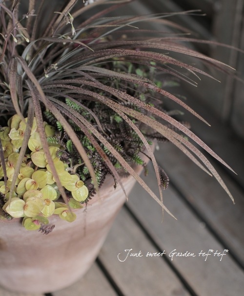 ץƥͥ顡إץåĥ֥å