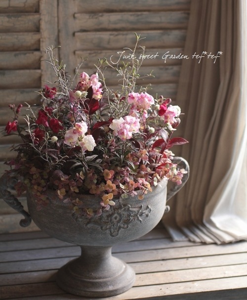 <i>Corokia cotoneaster </i><BR><BR>ȥͥ<BR>إ磻䡼