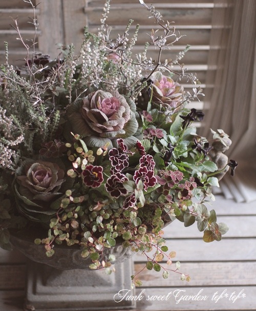 ���롼�ʡ��֥륬�ꥹ���إ���С��١���No.D��