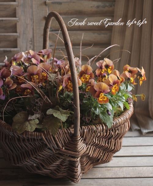 tef*tef*のオーダーメイドの寄せ植え<BR>7980円コース | 寄せ植え