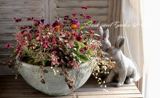 tef*tef*󤻿<BR>2015 * no.110 *<BR><BR>إ쥬 X'mas