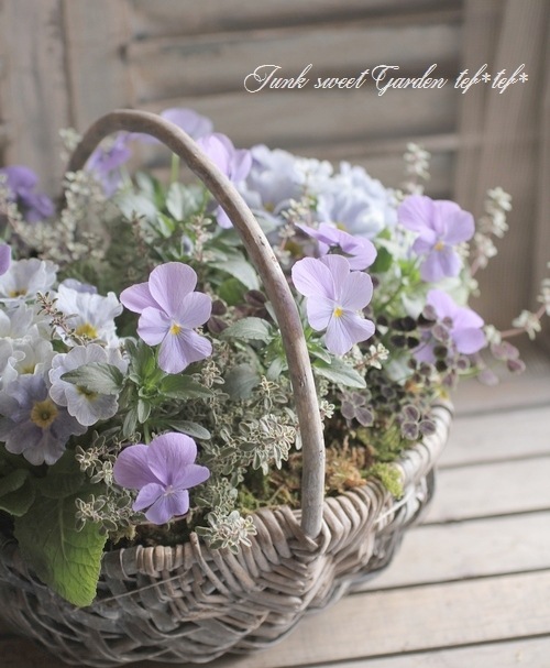 8_000000005570.jpg?1678209903