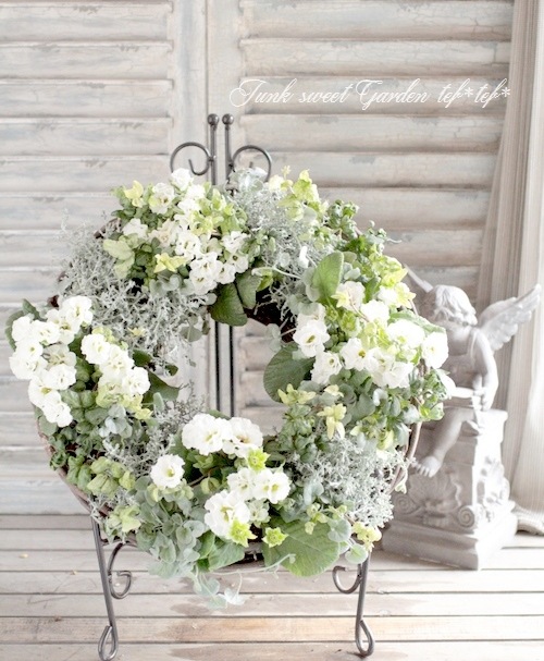 <i>Primula</i><BR><BR>ץ ꥢ<BR>餭ץ<BR>إѥ졼ɡ