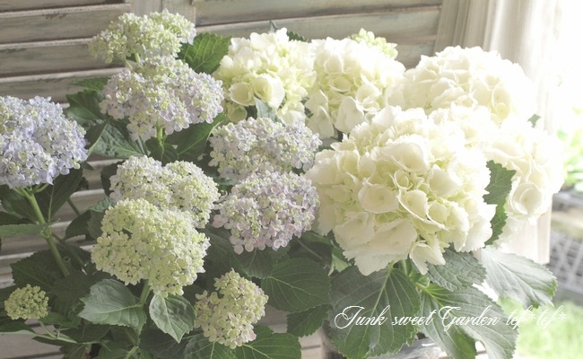 դ۲֡ޤ餭ػĻ -ߥɥ- ޤ