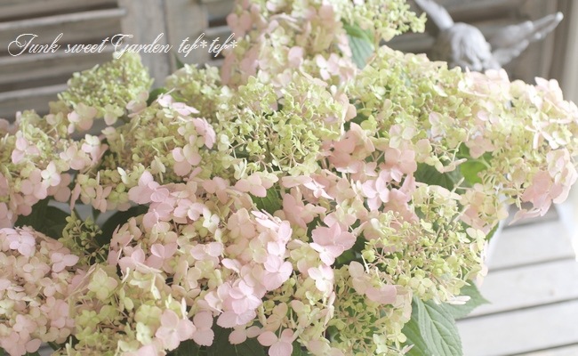 山紫陽花 『別紙てまり』 ピンク【秋色の状態】 | すべての商品