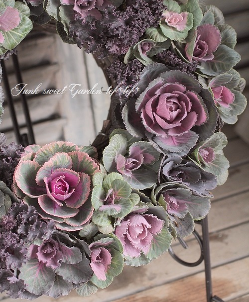 ����ƥ������ղ�ð����˨�֥��å�����