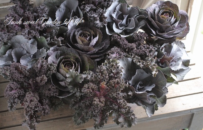 å׺餭ղð֥å륷󡡡إ٥륵