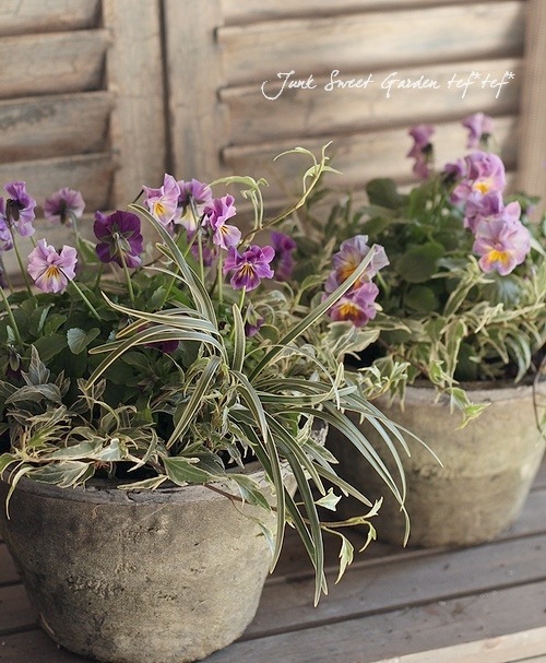 ڻߡۥɡ֥å⥹ݥå 15cm