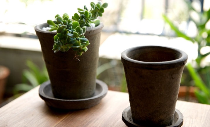 �ڻ��ߡۥ⥹���֥�å����������ݥå� 16cm