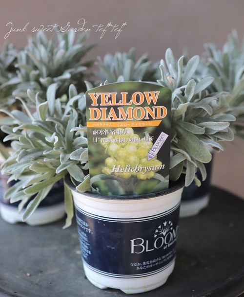 �������ʽɺ��� �إꥯ�ꥵ�� �إ���������������ɡ�