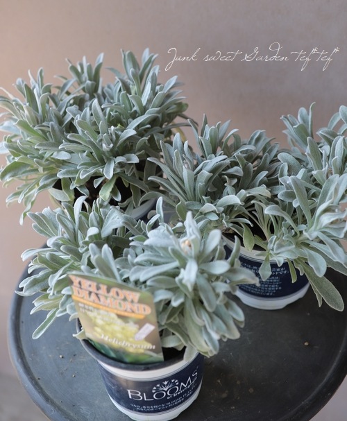 �������ʽɺ��� �إꥯ�ꥵ�� �إ���������������ɡ�