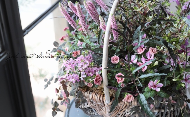 -TEFNIQUE-󤻿 2019 * no.39 *ͥԥ󥯤chicХåȡ