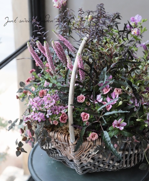 -TEFNIQUE-󤻿 2019 * no.39 *ͥԥ󥯤chicХåȡ