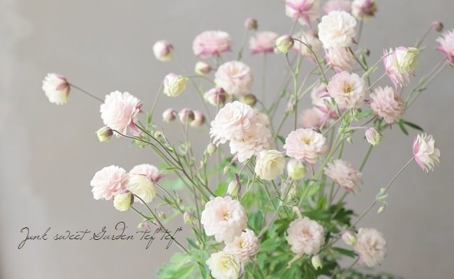 ��LUXURY SELECTION��tef*tef*���ꥸ�ʥ롪Ȭ�ź餭�����ޥ����إ��饷���륻�ԥ��� 2ǯ��1��ʪ��C��