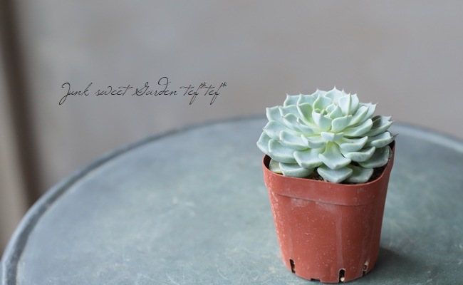 ��¿����ʪ�� �غ���ɱ��ð�١������٥ꥢ°��